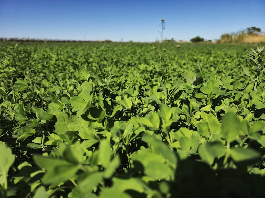 Commercial Property for Sale in Keimoes Rural Northern Cape